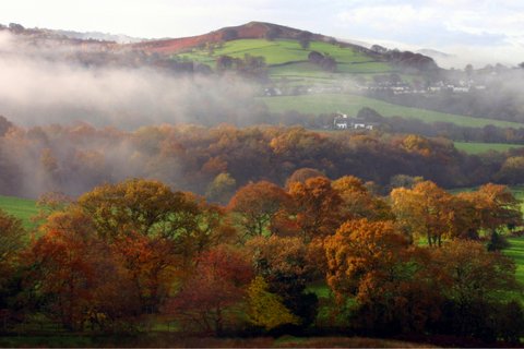 autumn colours  rudry nr caerphilly